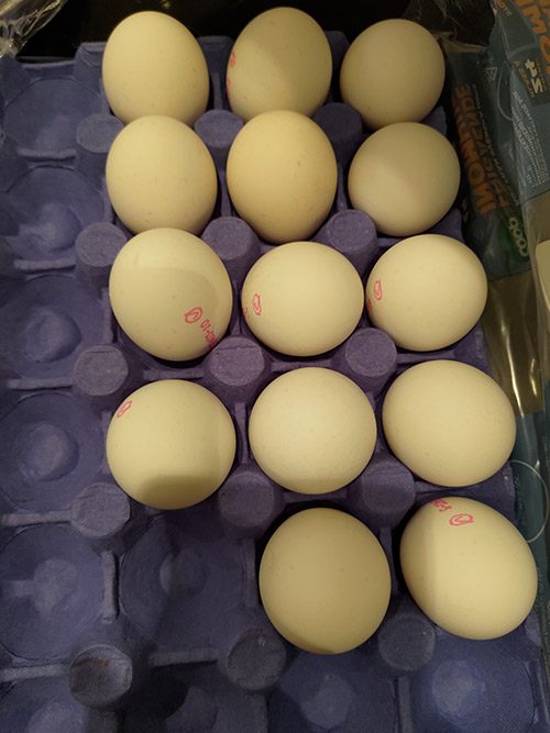 en låda med ägg för LCHF frukost
